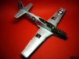 P-51D Mustang