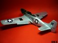 P-51D Mustang