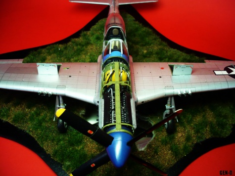 P-51D Mustang P-51D Mustang