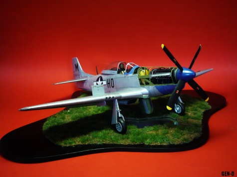 P-51D Mustang P-51D Mustang