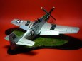 P-51D Mustang