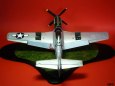 P-51D Mustang