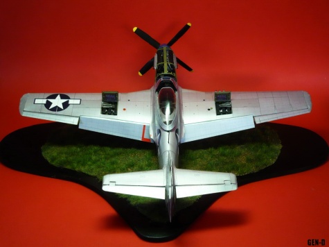 P-51D Mustang P-51D Mustang