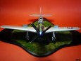 P-51D Mustang