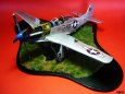 P-51D Mustang