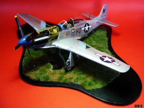 P-51D Mustang P-51D Mustang