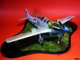 P-51D Mustang