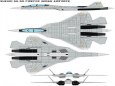 PAK FA 