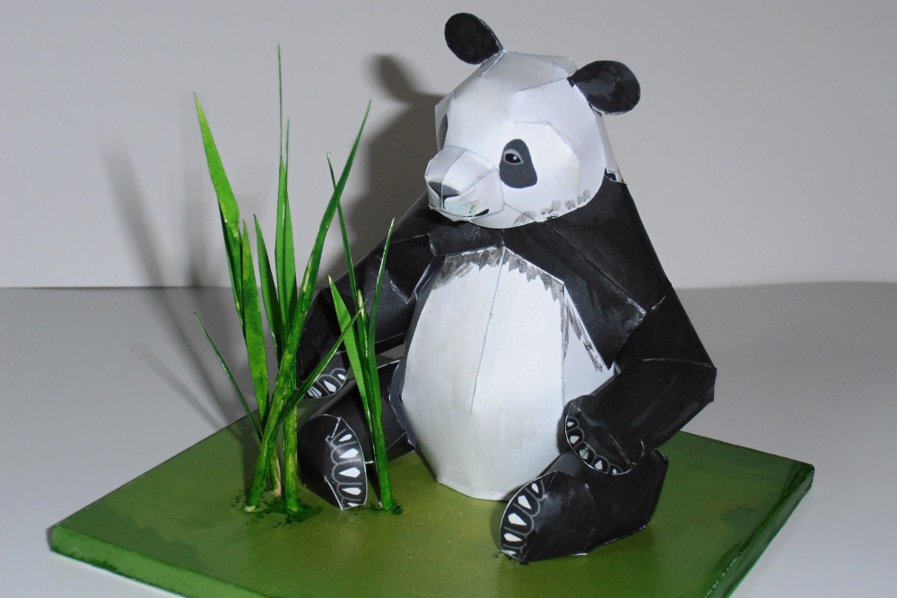 Panda velká (Plná velikost v novém okně) Panda velká