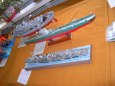 PAP�R  CHODOV  2010