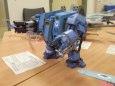 Pap�rov� Jaro 2009