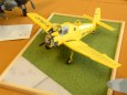 Pap�rov� jaro 2013