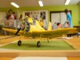 Pap�rov� jaro 2013