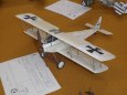 Pap�rov� jaro Chodov 2013