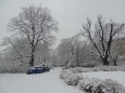 Pap�rov� kr�lovstv� 2013