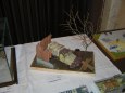 Pap�rov� kr�lovstv� Brno 2009
