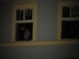 Pap�rov� patl�k listopad 2013