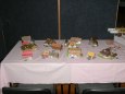 Pap�rov� velbloud 2011