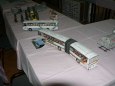 Pap�rov� velbloud 2011