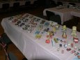 Pap�rov� velbloud 2011