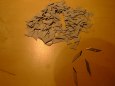 Pet��nsk� rozhledna