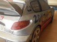Peugeot 206 WRC