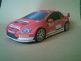 Peugeot 307 WRC