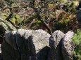 PF - Rozhledna Bab� lom