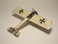 PFALZ E.I