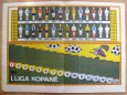 Pion�rsk� stezka