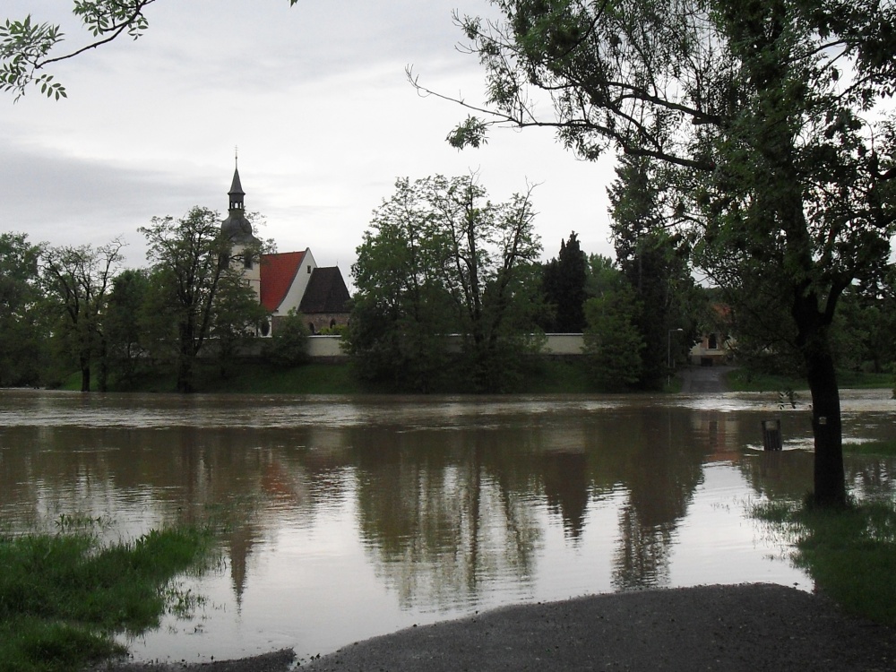 Mišmaš (Plná velikost v novém okně) Mišmaš