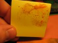 Pr�ce s laser dopl�ky