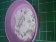 Pra�sk� hrad