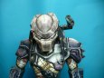 Pred�tor