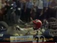 predpisy pre F1 2009 + v�eli�o