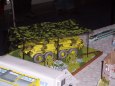 Presov model show 2009