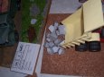 Presov model show 2009
