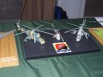 Presov model show 2009