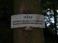 projekt T��ov