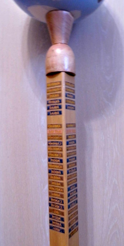 projekt LAJKA projekt LAJKA
