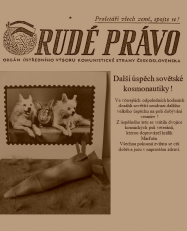 projekt LAJKA