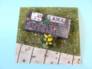 projekt LAJKA