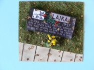 projekt LAJKA