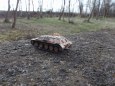 PzJgAbt.653