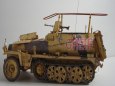 PzKpfw 250 I 3 Greif