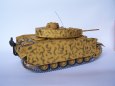 Pzkpfw III Ausf.M