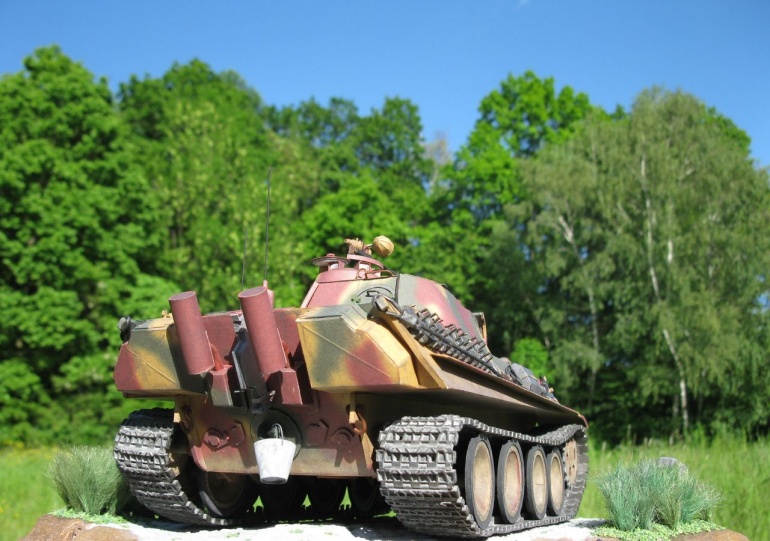 80081