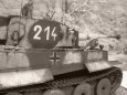 PzKpfw VI Tiger I / Halinski / 1:25 Kov��