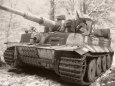 PzKpfw VI Tiger I / Halinski / 1:25 Kov��