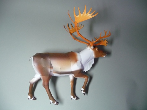 Reindeer - Sob Reindeer - Sob